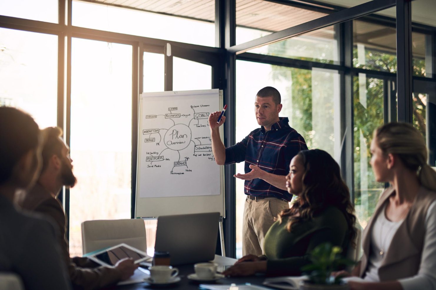 Alkaze | TEKMER Danışmanlığı