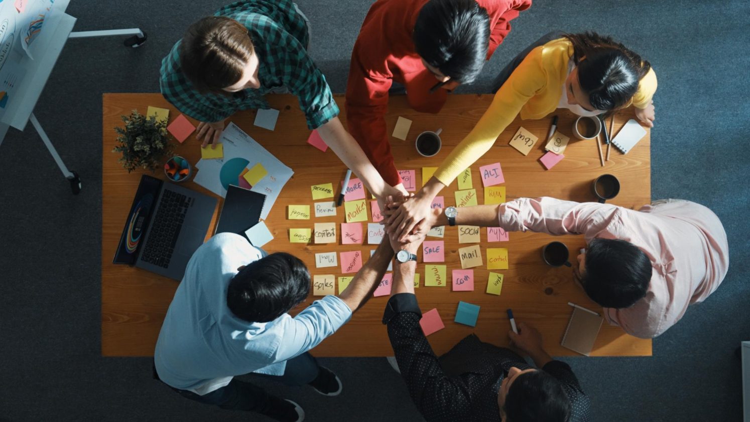 Danışmanlık Hizmeti